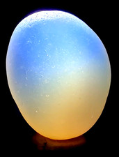 Flawless Opalescent MULTI: Nicely Sized  Shaped Real Davenport Beach Sea Glass