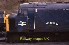 Railway Photo 12x8 (A4) Class 45 45036 BR Blue Buxton TMD c1985