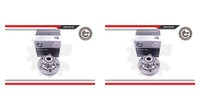 Esen SKV 2X Radnabe Radlagersatz Vorderachse FüR Ford Transit Kasten FY FZ F3
