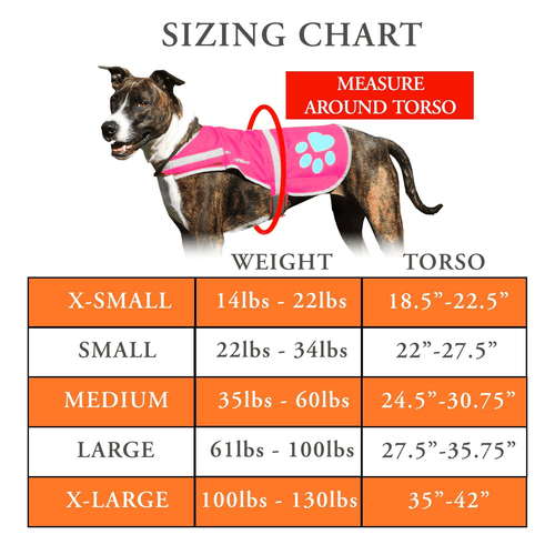Dog Reflective Vest – Multiple Color Options with Hi Vis Fluorescent Visibility - Picture 2 of 5