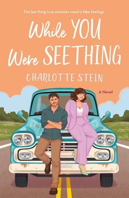 While You Were Seething | Charlotte Stein | englisch