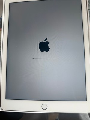 Apple iPad Air 2 Wi-Fi 16 GB