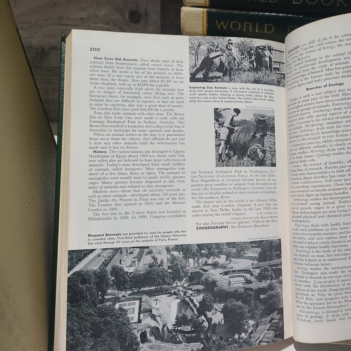 【あーや】科学ワールドシリーズ 19冊セット The World Book Encyclopedia Copyright 1969 Set A-Z 19 Book