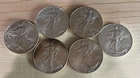 Silver Eagle lot of 6! 1999, 2017,  2021, 2022 W, 2023 W, 2024 W!