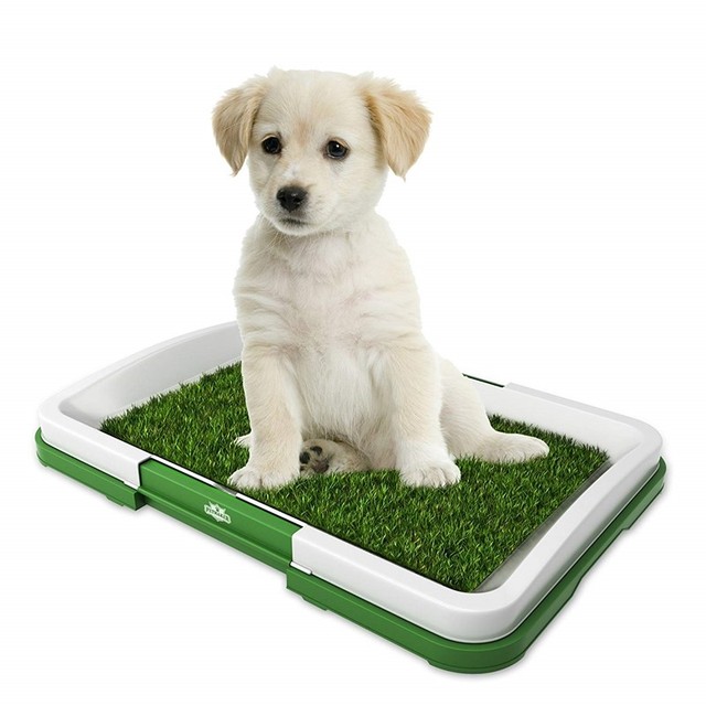 Puppy Potty Trainer Grass Mat Dog Training Indoor & Outdoor Pee Pad Patch Green eBay