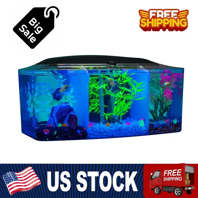 3 betta fish deals tank