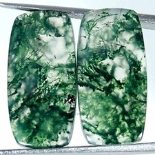 18.10Cts Natural Green Moss Agate Pair Cushion Loose Gemstone