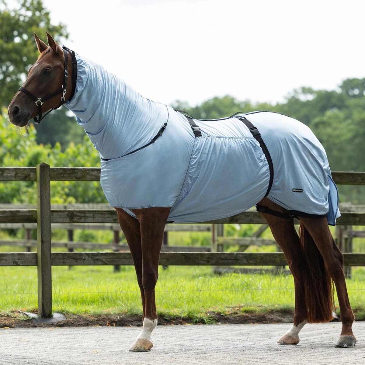 6ft Horse Rug for sale | eBay UK