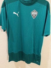 PUMA AJAX Soccer Shirt - Team GOAL 23 Training Jersey - Medium  - Green