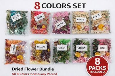 8 Packs Dried Flowers Set for Resin, Nail Art, Candle & DIY Crafts