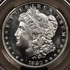 1880-S Morgan, CACG MS64+ flashy white, looks gem, DKRC's DOLLAR DEAL WEDNESDAY!
