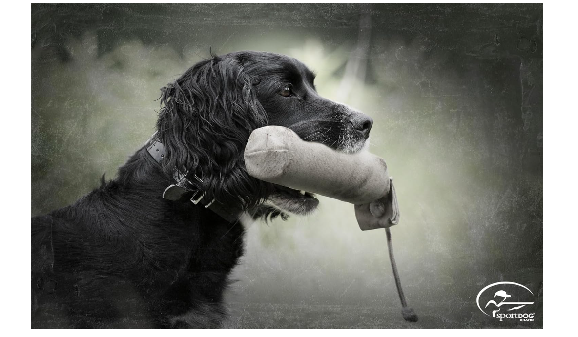 Brand Natural Canvas Dummy - Hunting Dog Training Tool - Weighted and Includes R