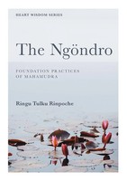 The NgöNdro Foundation Practices Of Mahamudra Ringu Tulku Taschenbuch Englisch