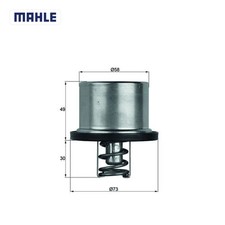 Thermostat BMW 315