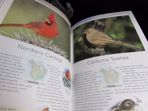 Birding North America Reference Guide Book 2007 Revised Updated Flexibound - Picture 5 of 7