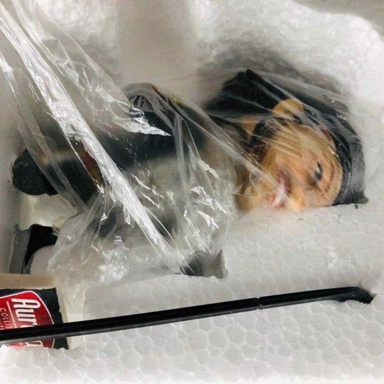 Rasmus Andersson Stockton Heat bobblehead SGA MINOR LEAGUE HOCKEY eBay