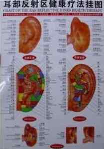 Chinese Ear Chart