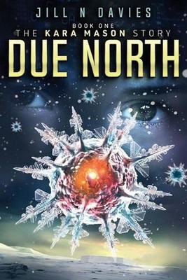 Due North by Jill N. Davies Paperback Book