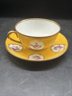 Dresden hand painting Striegau collector's cup saucer porcelain hand painted H.20.U