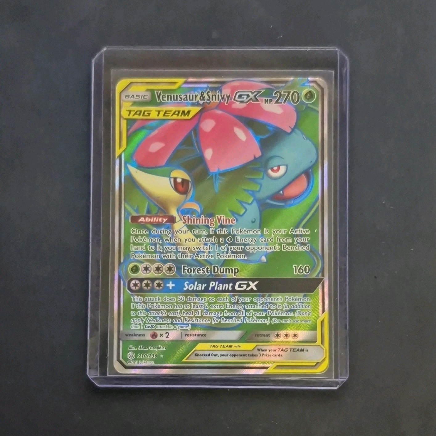Venusaur & Snivy GX Full Art 210/236 Holo