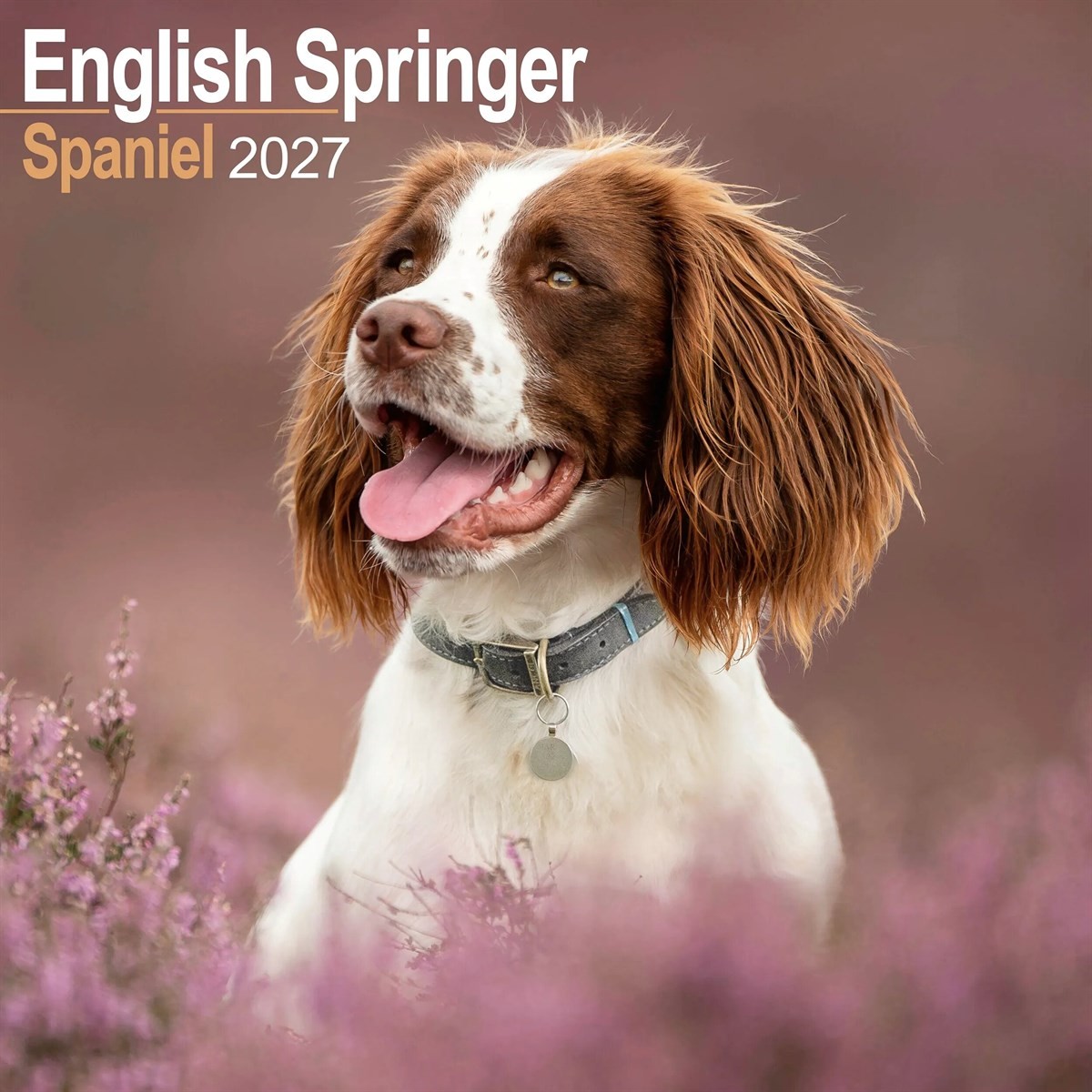 English Springer Spaniel Wall Avonside Publishing - Image 5