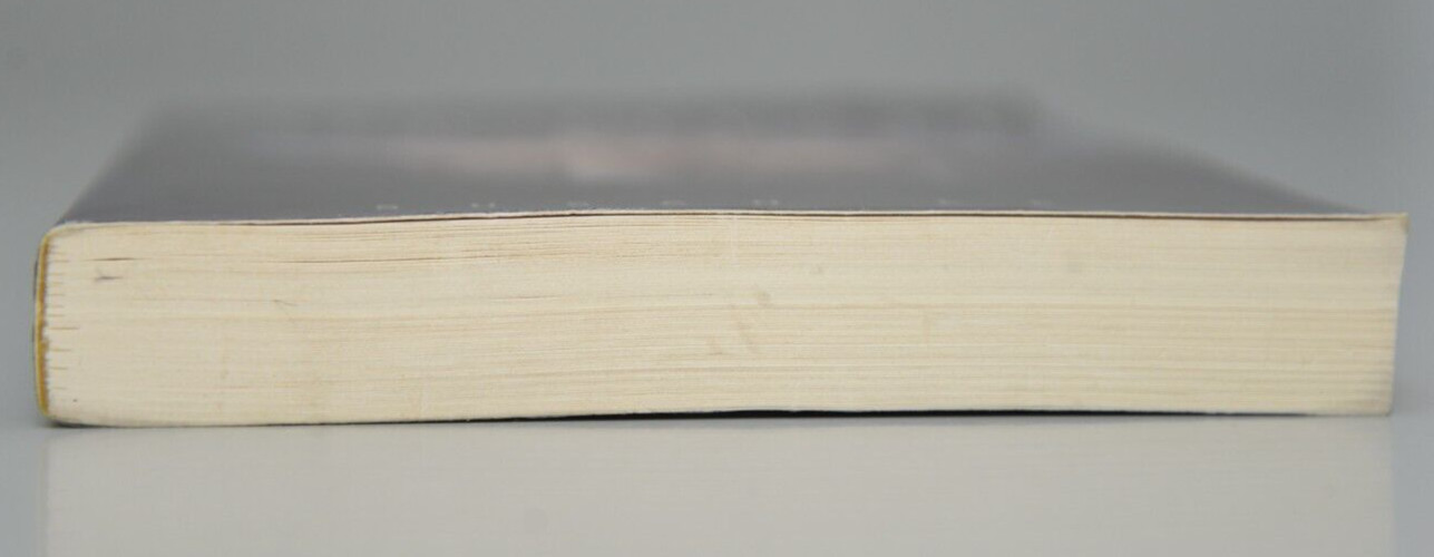 Thumbnail - Angelfall Susan Ee Englisch Buch Neu
