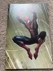 Amazing Spider-Man #20 Clayton Crain Virgin 1:50 Variant Cover