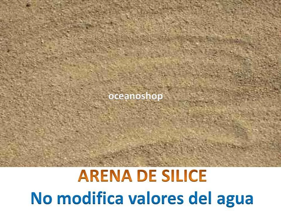 Imagen 1 de 1