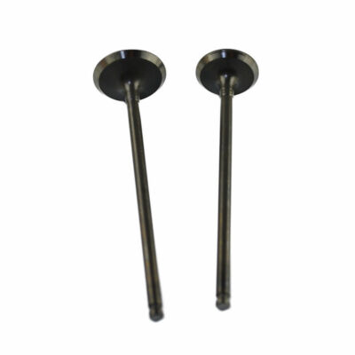2Pcs Intake Exhaust Valve Stem Stock for Suzuki AN250 1998-2007 /DR250 1990-1995