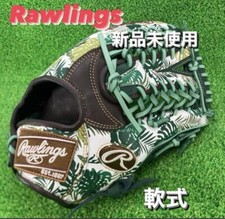 Rawlings Glove Outfield 13 HOH GRAPHIC Heart of the Hide GR3FHGY70 Rubberball jp
