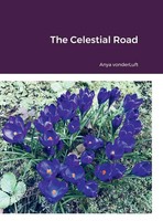 The Celestial Road | Anya Vonderluft | Buch | Englisch | 2022 | [.]