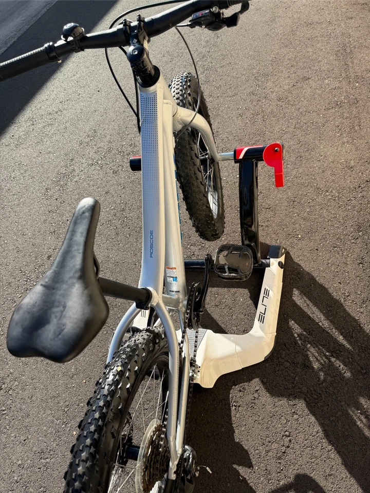 BICICLETA DE MONTAÑA TREK RROSCOE FAT TIRE 20" 8 VELOCIDADES NIÑOS PLATEADA (USADA) Foto 3 de 4