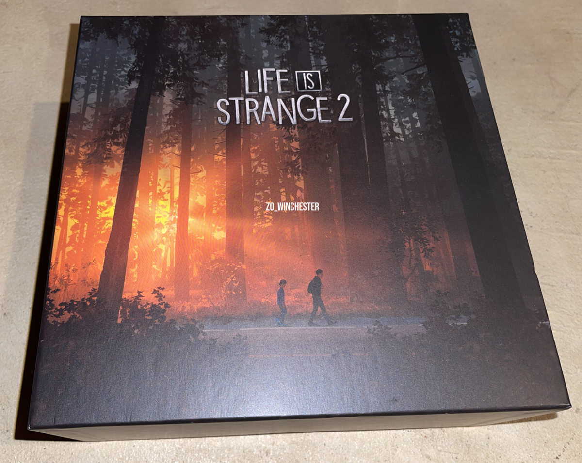 cib Life is Strange 2 Collectors Edition PS4 GAME ARTBOOK VINYL