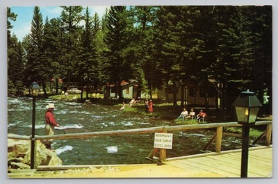 Norman s Blue Spruce Cottages in Estes Park Colorado c1950s Postcard