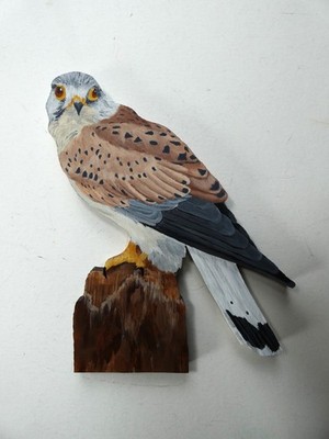 Hand Painted American Kestrel Bird - Wall Art  By Phyllis