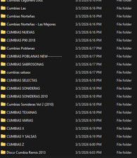Musica CUMBIAS Para Fiestas pen drive 32gb 3.2 speed