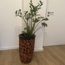 Korbpflanzensäule gerne auch mit Pflanze abzugeben 