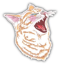 Crazy Cat Head Animal Car Bumper Sticker Decal