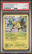 PSA 6 2013 Sceptile 8/116 Holo Plasma Freeze Pokémon Low Pop - 1 ☝️- Ultra Rare on eBay