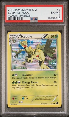 Sceptile graded PSA 6 for sale on eBay