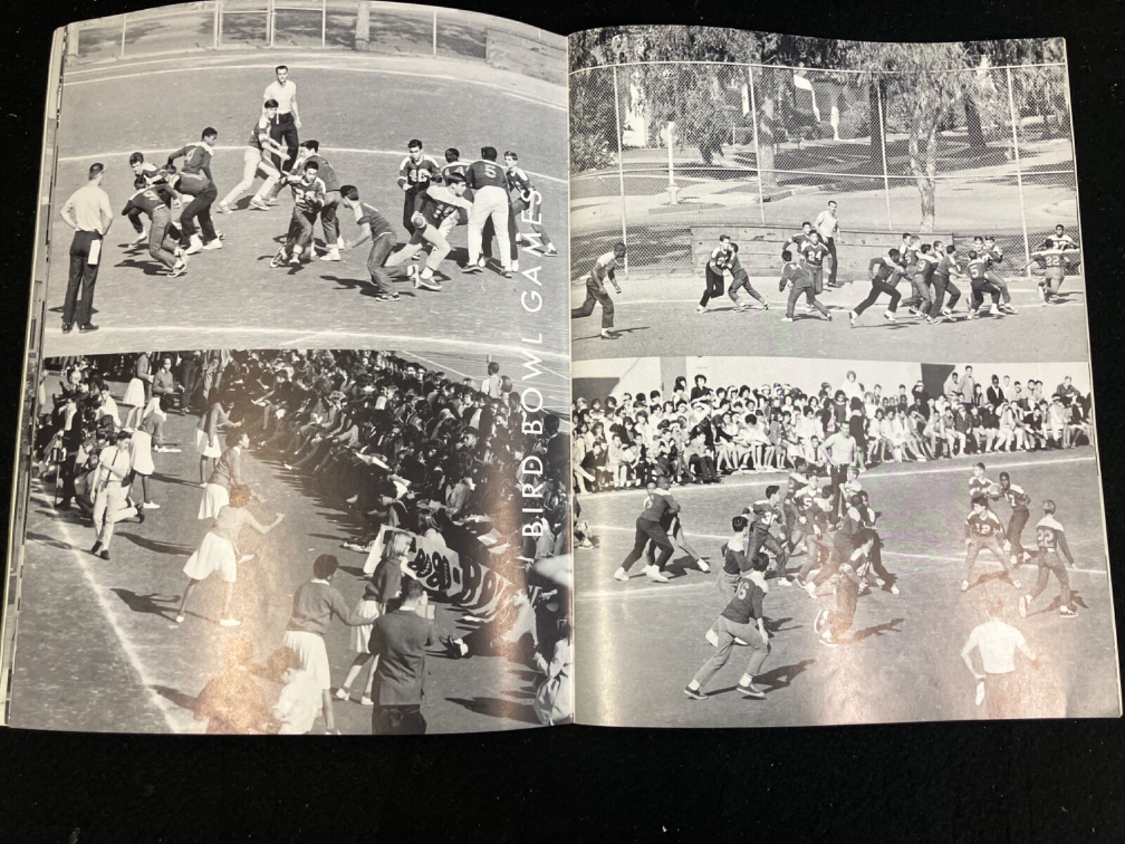 Picture 9 of 12