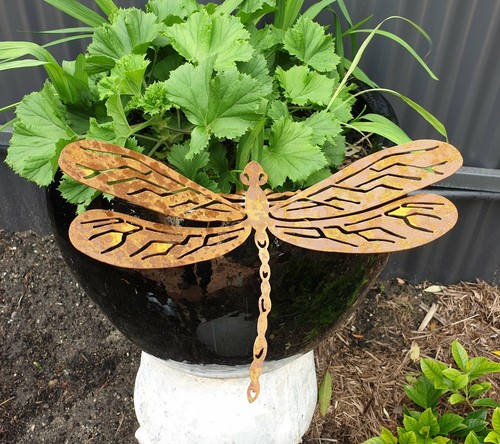 Dragonfly - Australian Made Rusted Metal Garden Art - Picture 6 of 8