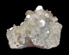 Picture 5 of 12