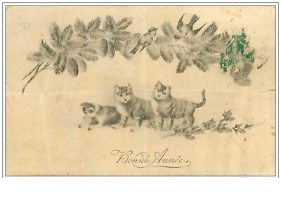 KATZEN.FROHES NEUES JAHR.KATZEN UND HACKE MIT VÖGELN