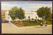 Hotel Buena Vista Hot Springs New Mexico printed linen