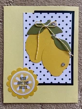 Lemon cheer thank you friendship card kit of 6 made w/ Stampin' Up!