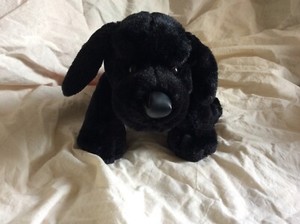 webkinz black dog