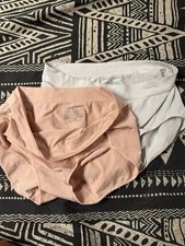 Carole Hochman 2 Pack Women's Seamless Full Coverage Brief, Multi, XL