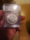 Morgan Silver Dollar 1884-O - ICG  MS64