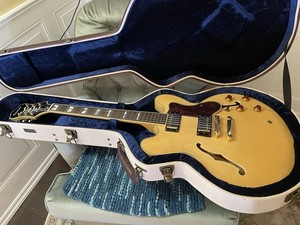 Epiphone Sheraton II | eBay